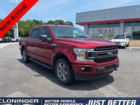 FORD F-150 2019 1FTEW1E56KFC43911 image
