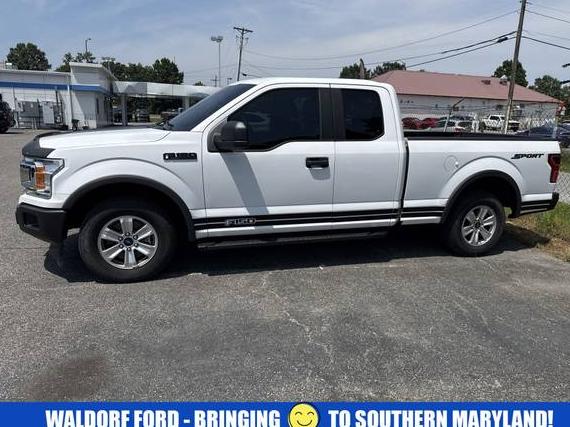 FORD F-150 2019 1FTEX1CP0KKF11134 image