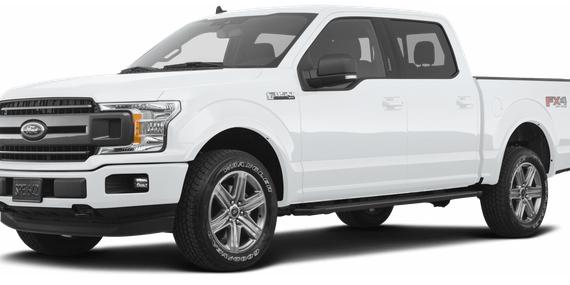 FORD F-150 2019 1FTEW1EP3KFB52628 image