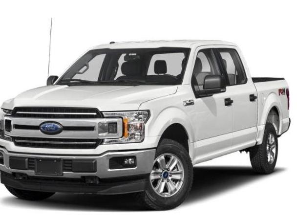 FORD F-150 2019 1FTEW1EP5KFC75704 image