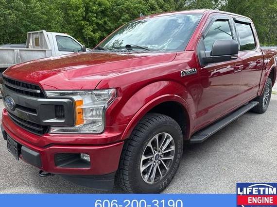 FORD F-150 2019 1FTEW1E42KFB02390 image