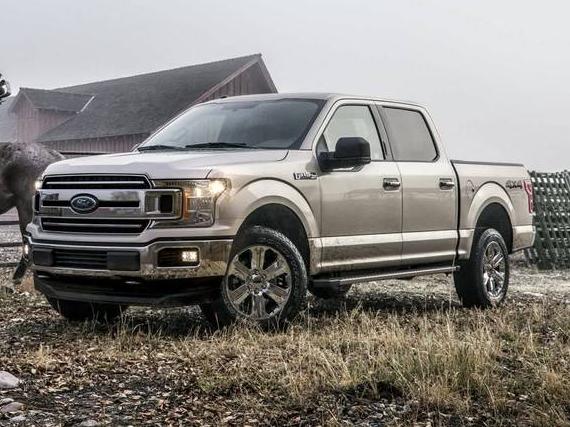 FORD F-150 2019 1FTEW1EP9KFD28436 image