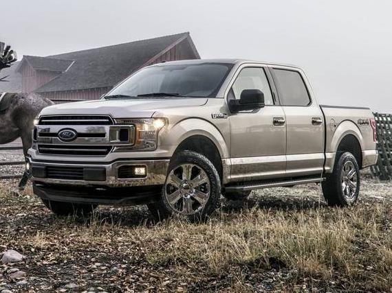 FORD F-150 2019 1FTEW1C46KKE98995 image
