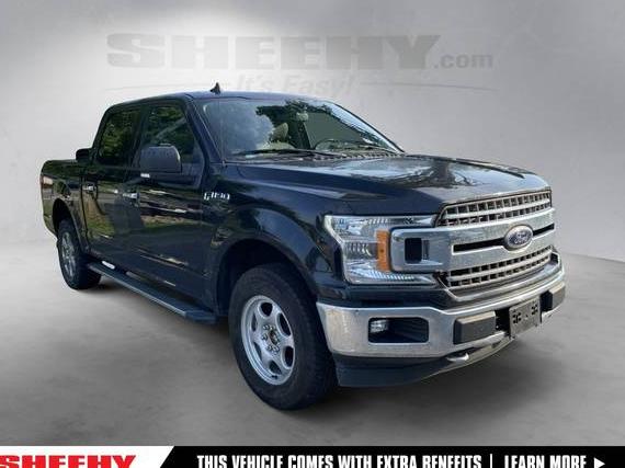 FORD F-150 2019 1FTEW1E45KKF23740 image