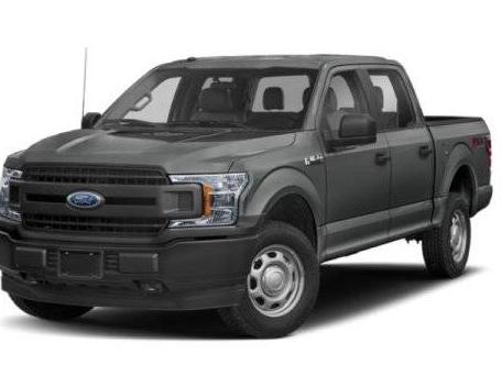 FORD F-150 2019 1FTEW1EP1KFB02651 image