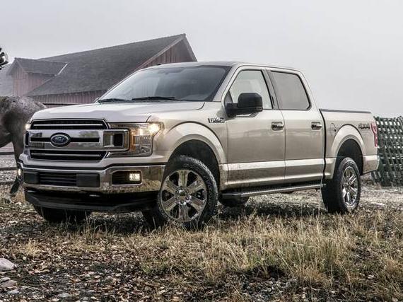 FORD F-150 2019 1FTEW1E44KKE56953 image