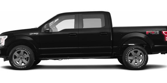 FORD F-150 2019 1FTEW1E53KFA36134 image