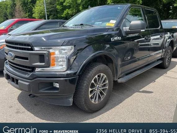 FORD F-150 2019 1FTEW1EP0KFA94087 image