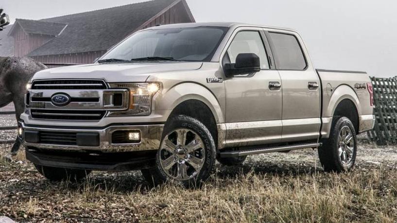 FORD F-150 2019 1FTEW1EP8KFB61339 image