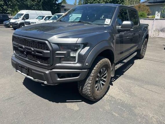 FORD F-150 2019 1FTFW1RG7KFB40254 image