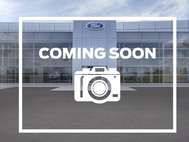 FORD F-150 2019 1FTEW1EB4KFC32282 image