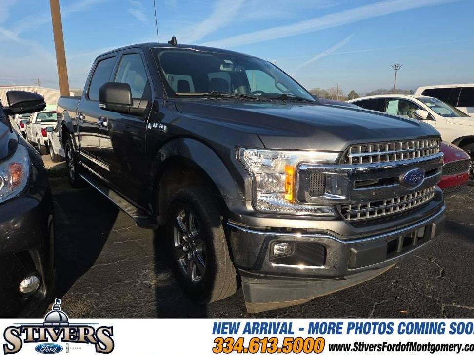 FORD F-150 2019 1FTEW1CP1KFD08670 image