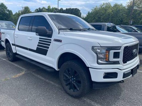 FORD F-150 2019 1FTEW1EP7KFD52606 image