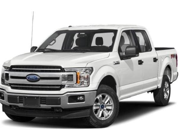 FORD F-150 2019 1FTEW1EP0KFD37817 image