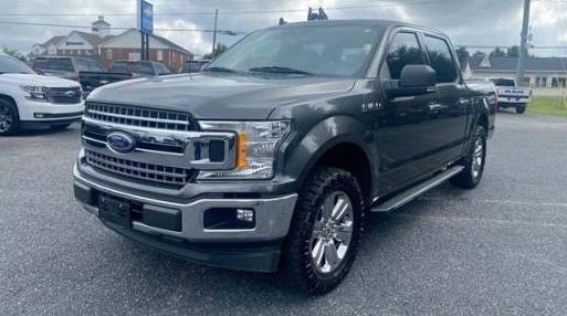 FORD F-150 2019 1FTEW1CP5KKD88952 image