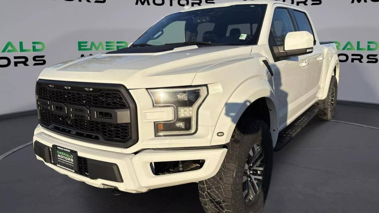 FORD F-150 2019 1FTFW1RG2KFA70596 image