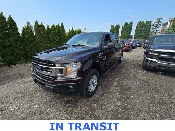 FORD F-150 2019 1FTEW1E49KKC41035 image
