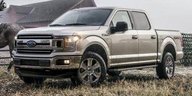 FORD F-150 2019 1FTEW1CP1KKD25900 image