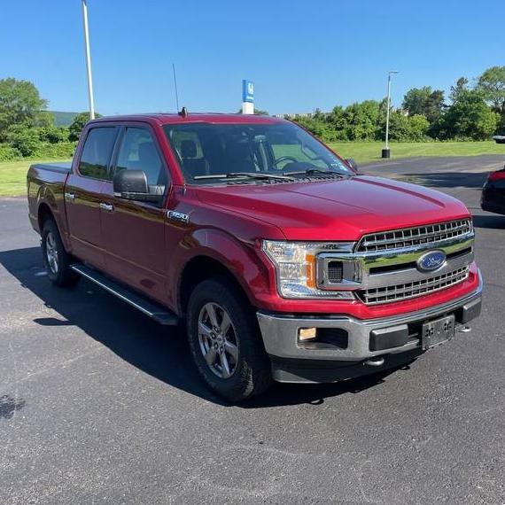 FORD F-150 2019 1FTEW1EP3KKF21124 image