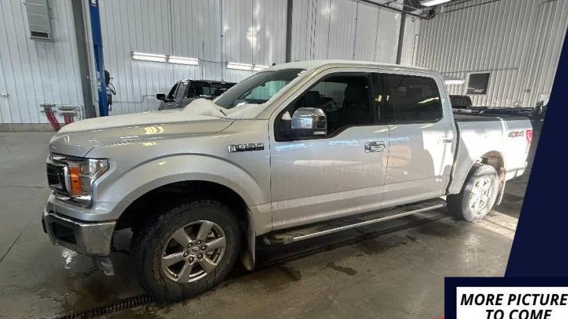 FORD F-150 2019 1FTEW1EP9KKF03016 image