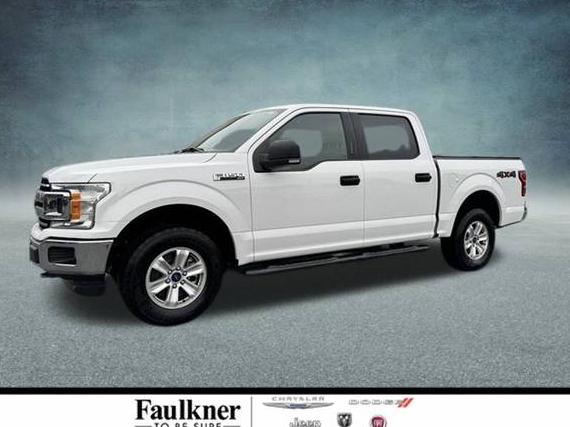FORD F-150 2019 1FTEW1EP9KFD07425 image