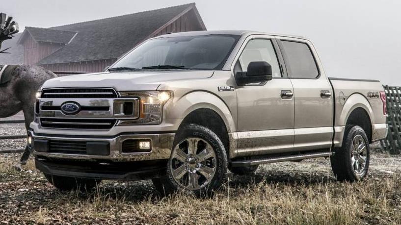 FORD F-150 2019 1FTEW1EP7KFB15291 image