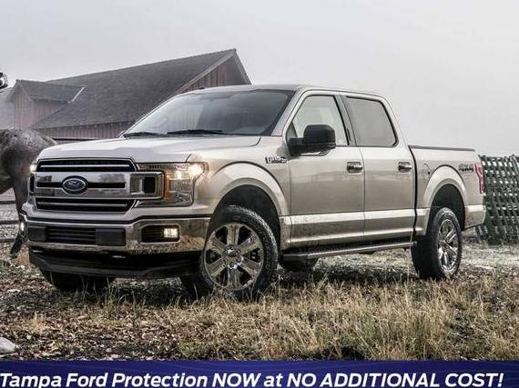 FORD F-150 2019 1FTEW1CP6KKC82574 image