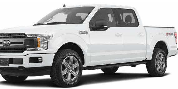 FORD F-150 2019 1FTEW1EPXKFA72209 image
