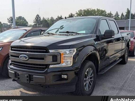 FORD F-150 2019 1FTFW1E51KFC61446 image