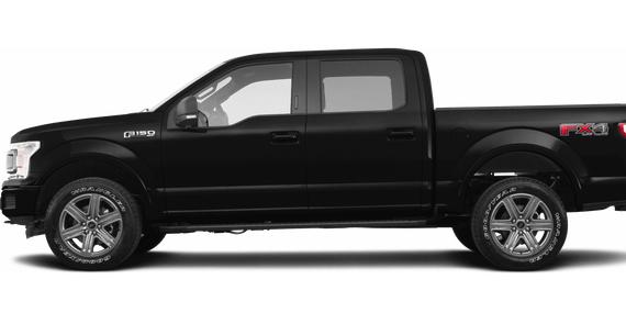 FORD F-150 2019 1FTEW1EP1KKE63269 image