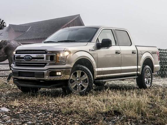 FORD F-150 2019 1FTEX1EB5KKD75603 image