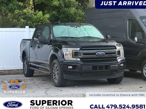 FORD F-150 2019 1FTEW1EP1KFC83234 image