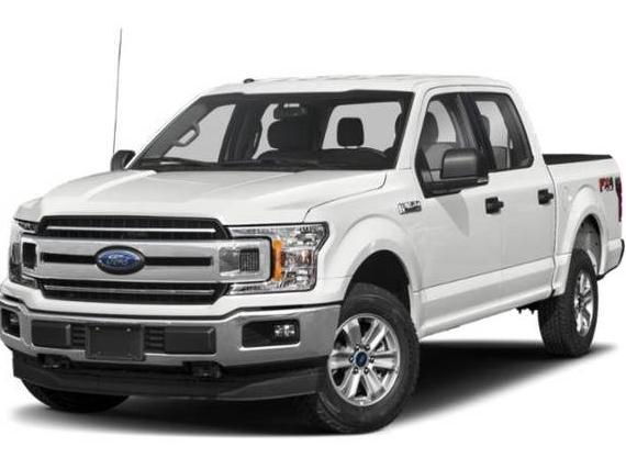 FORD F-150 2019 1FTEW1EP7KFB75121 image