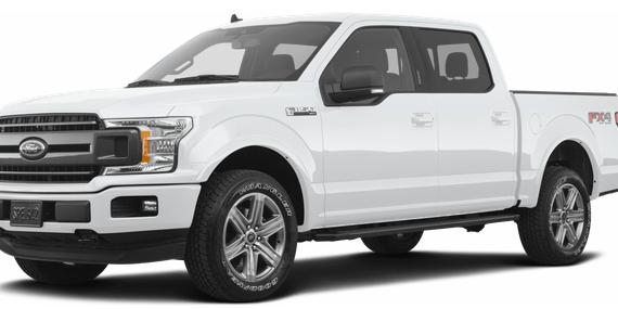 FORD F-150 2019 1FTEW1E48KFB40125 image