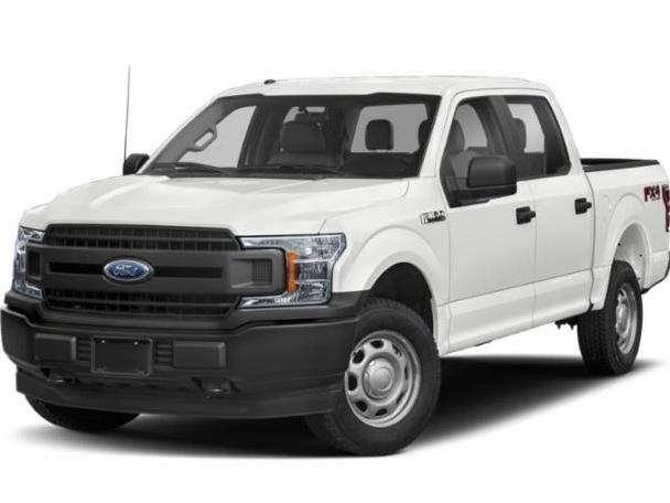 FORD F-150 2019 1FTEW1EP2KKD05166 image