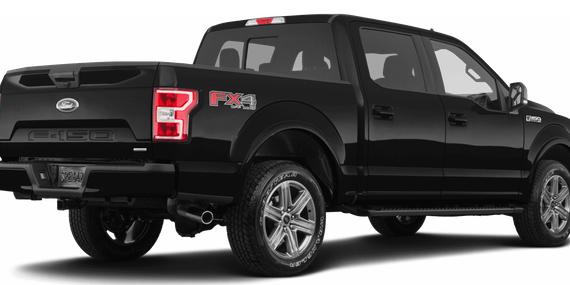 FORD F-150 2019 1FTEW1EG1KFD50205 image