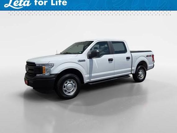 FORD F-150 2019 1FTEW1EB6KKD83471 image