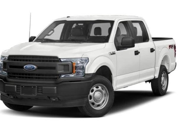 FORD F-150 2019 1FTEW1EP2KKD89876 image