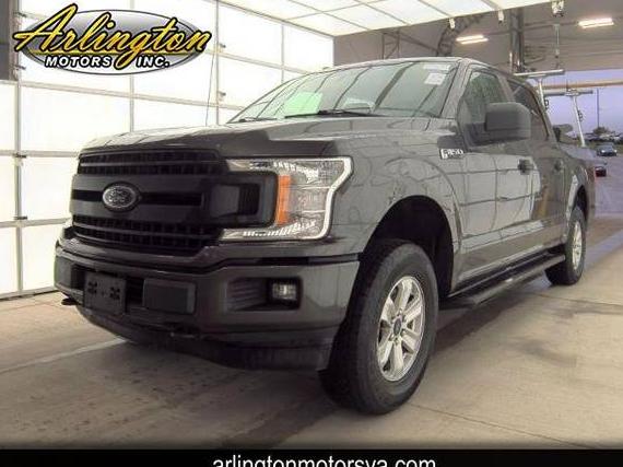 FORD F-150 2019 1FTEW1EP3KKD29623 image