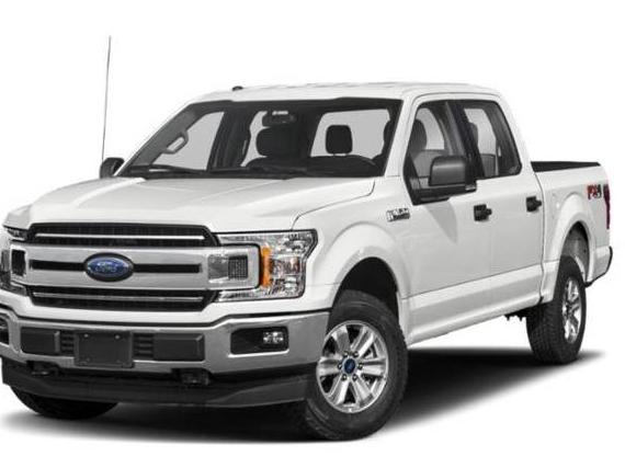 FORD F-150 2019 1FTEW1EP5KFB13359 image