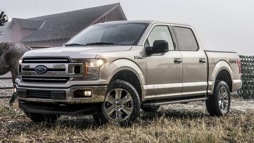 FORD F-150 2019 1FTEW1EB4KKD15556 image