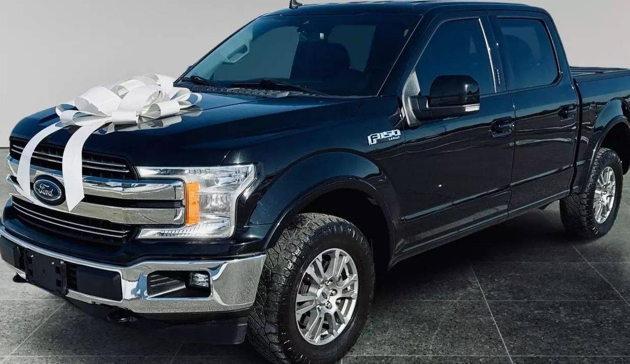 FORD F-150 2019 1FTEW1E51KFC10816 image