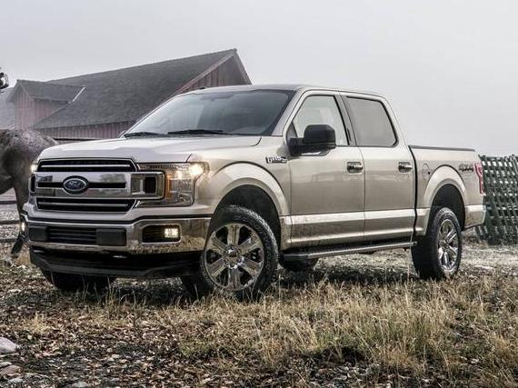 FORD F-150 2019 1FTEW1EP9KKD59029 image