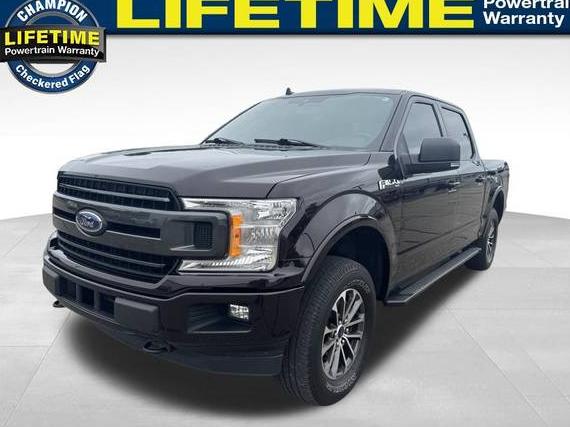 FORD F-150 2019 1FTEW1EP6KFB80200 image