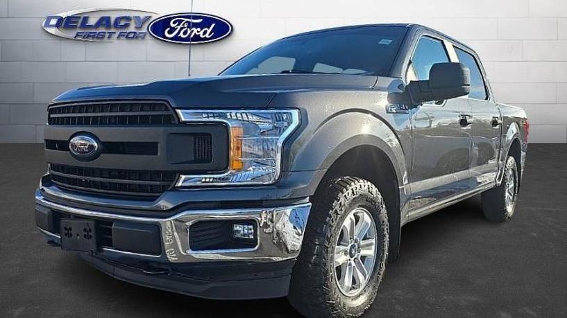 FORD F-150 2019 1FTEW1EP1KKF24281 image