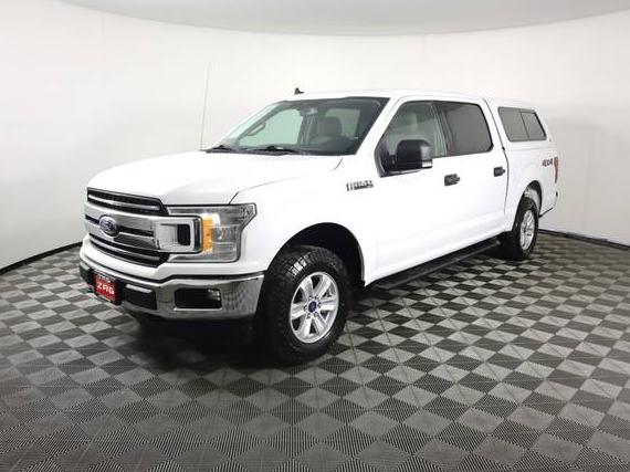 FORD F-150 2019 1FTEW1EB8KKE52984 image