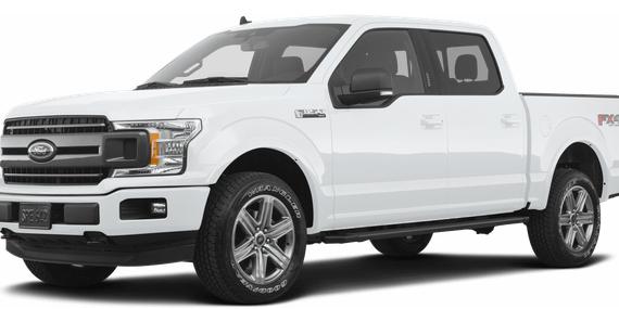FORD F-150 2019 1FTEW1EP2KFB79982 image