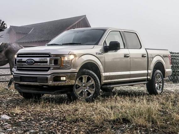 FORD F-150 2019 1FTEW1E51KFD50686 image