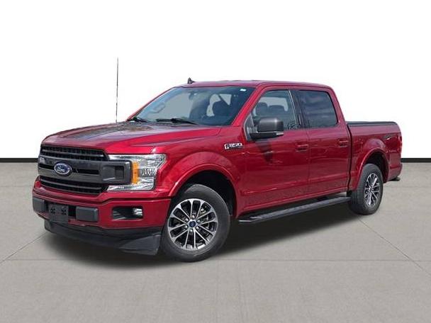 FORD F-150 2019 1FTEW1CP4KKF26061 image