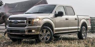 FORD F-150 2019 1FTEW1CPXKKD43991 image